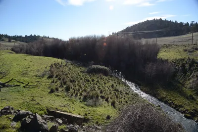 DSC_1071 (Large).JPG